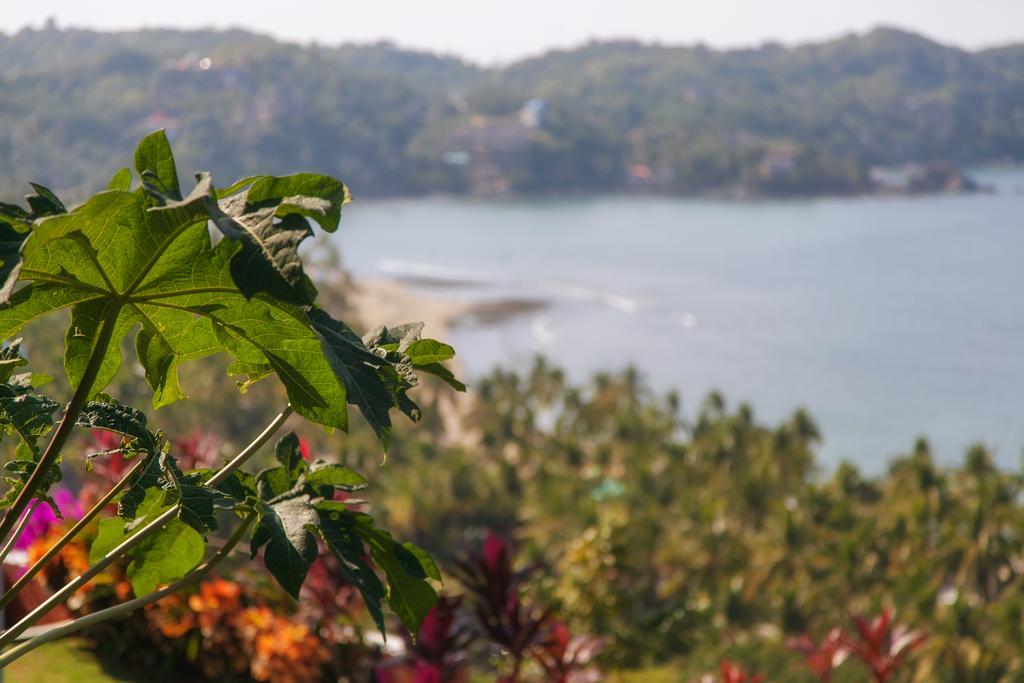 Casa Los Arcos Hotel Sayulita Kültér fotó