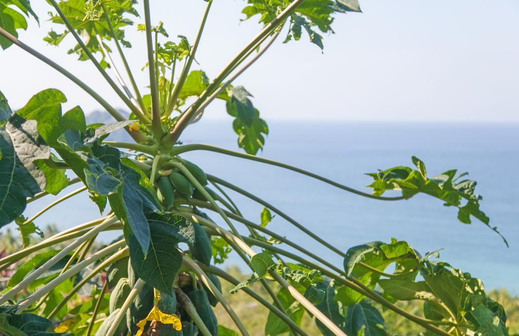 Casa Los Arcos Hotel Sayulita Kültér fotó